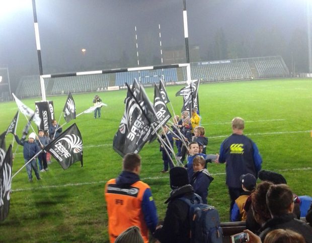 zebre-leinster-web